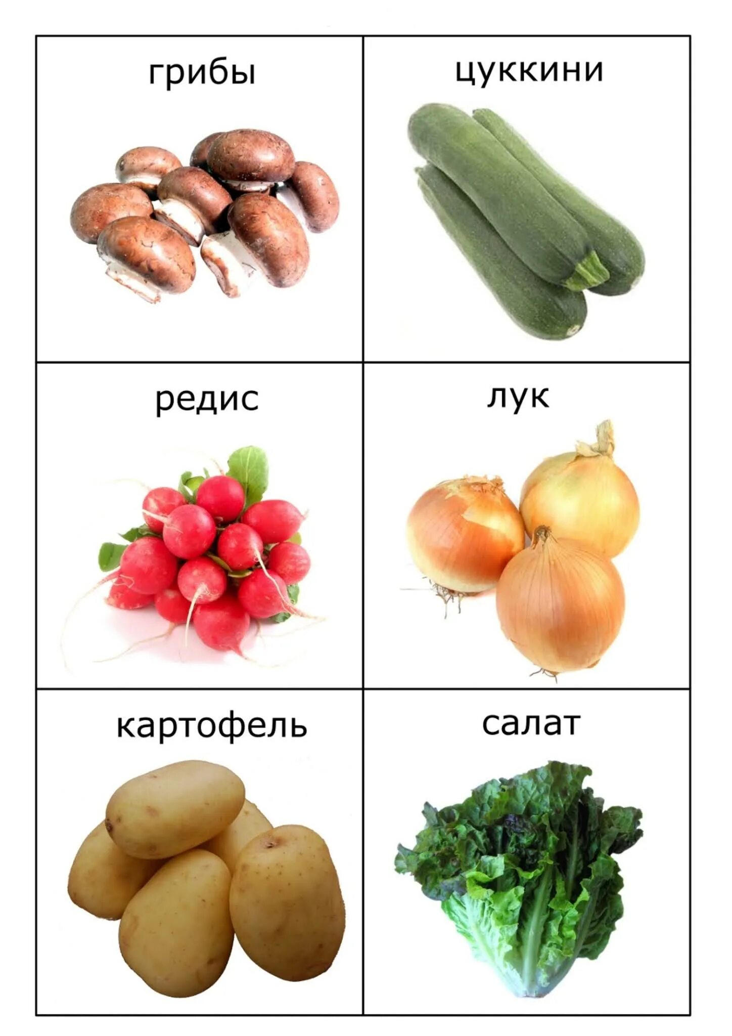 Язык лук