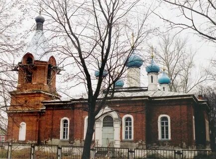 Фруктовая московская область