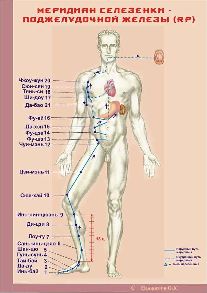 Каналы китайской медицины. Атлас энергетических меридианов человека. Аппарат рефлексотерапия иглоукалывание. Меридианы человека схема. Энергетические точки на теле.