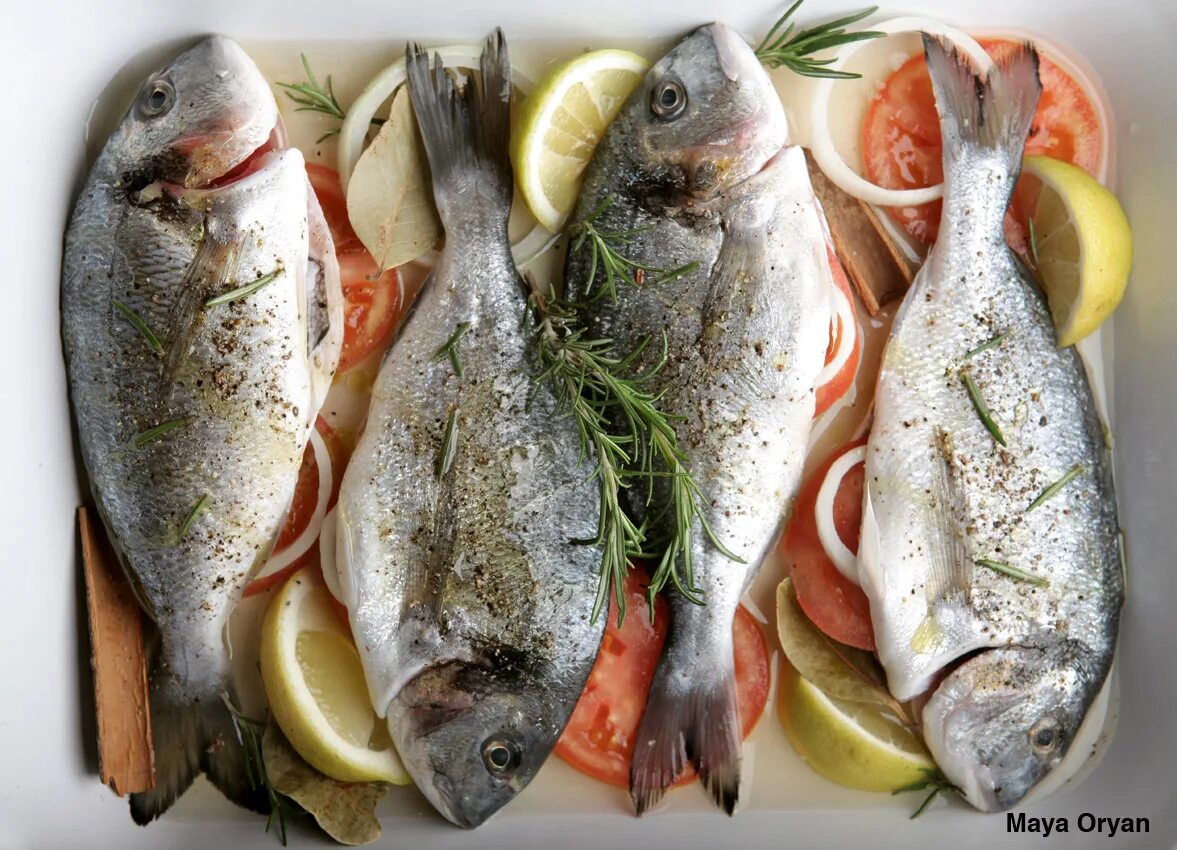 Рыба является мясом. Мясо рыба. рыба морская курица. рыба в диетическом питании. мясо рыба курица.