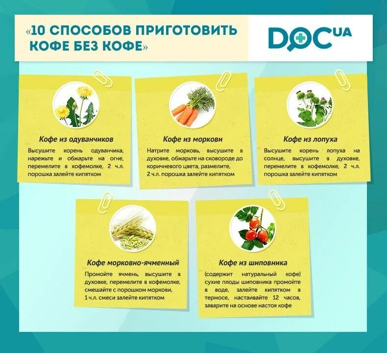 Напиток из корней одуванчика. Кофе из одуванчиков. Кофе и одуванчики. Одуванчиковый чай. Кофе из корней одуванчика.