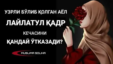 Бароат кечаси 2024