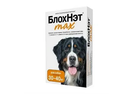 30 собак