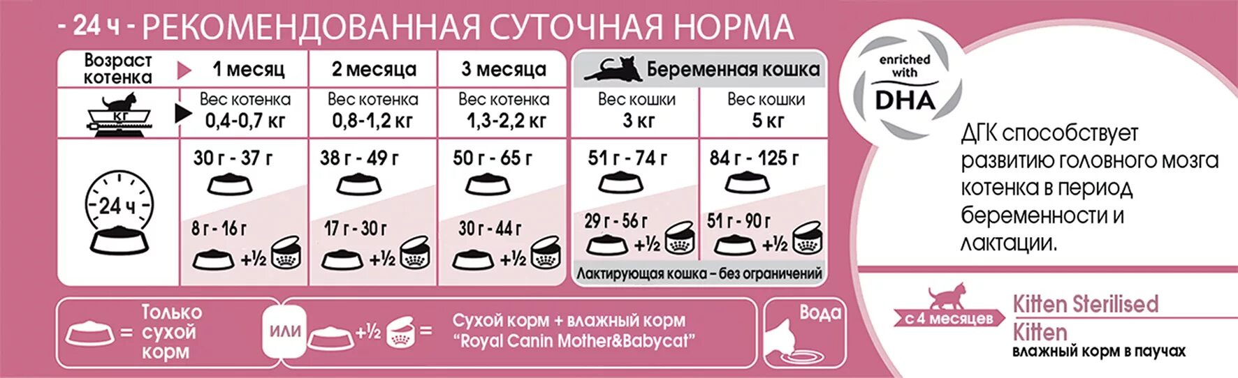 Сколько кормить взрослую кошку. Royal Canin норма кормления кошек. Суточная норма корма для котят 2 месяца. Норма питания сухого корма в сутки для кошек. Royal Canin норма корма для котят.