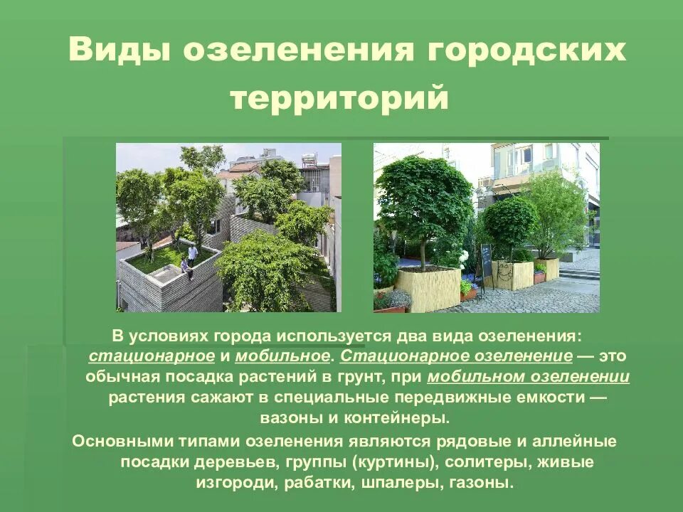 Значение благоустройства в городе