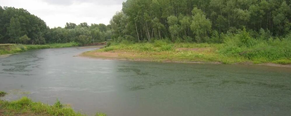 Новомихайловка оренбургской области. Новомихайловка Саракташского района. Село Новомихайловка Александровский район Оренбургская область. Новомихайловка Оренбургская область Саракташский район. Аютово Зианчуринский район деревня.