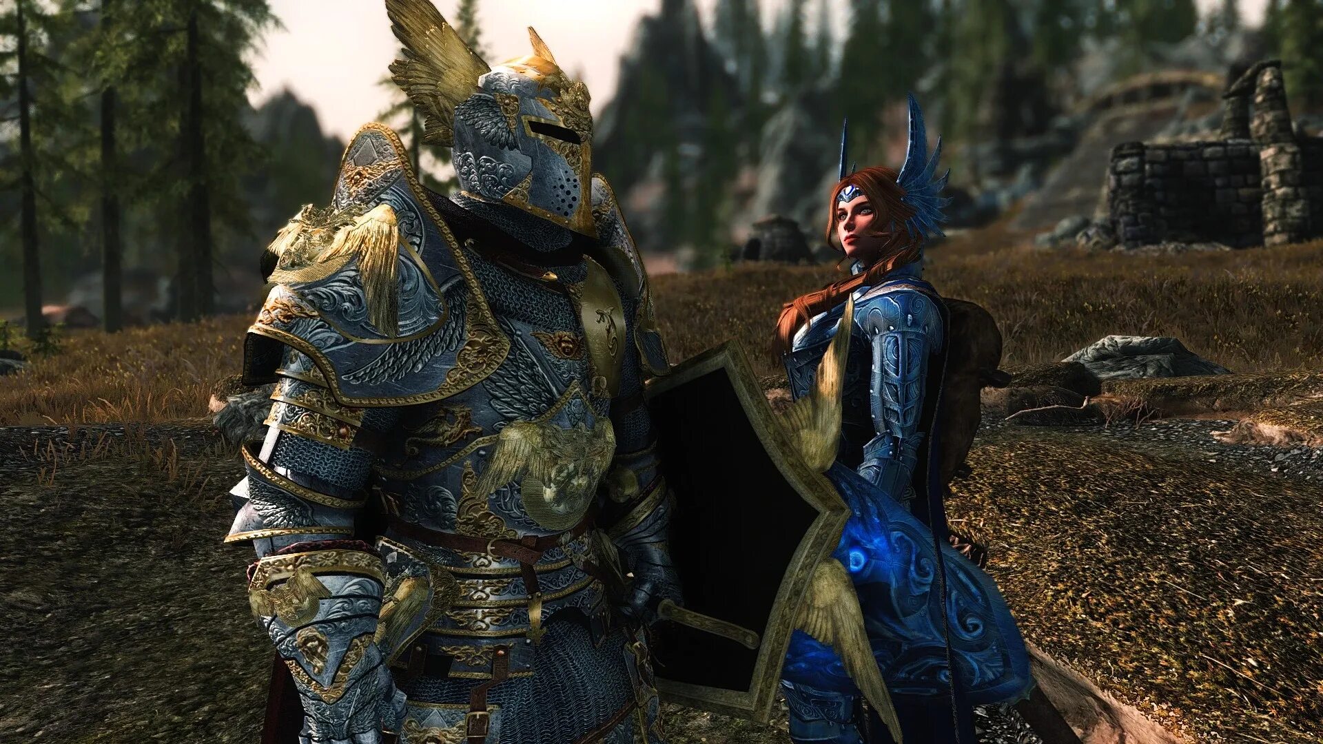 Skyrim мод armor. Skyrim paladin armor. броня паладина скайрим se. броня скайрим se. skyrim knight armor.