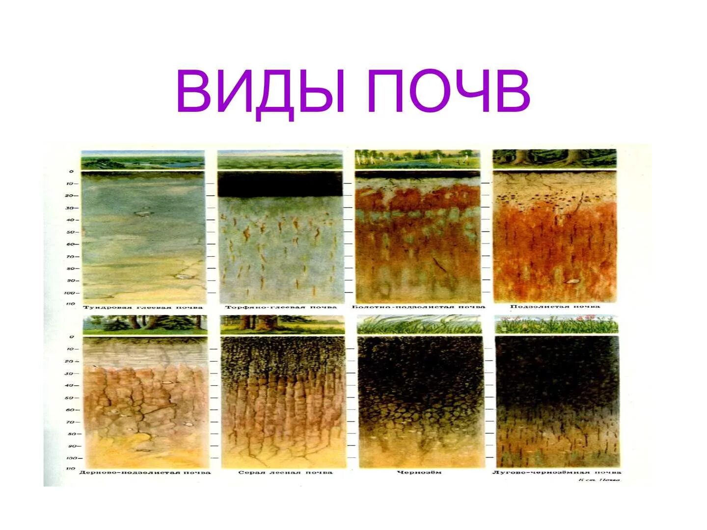 Тип почвы 1889. Виды почв. 7 видов почв. разные типы почв. виды почв в казахстане.