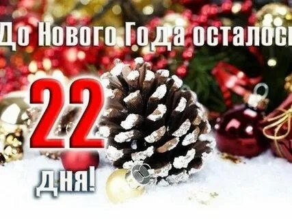 Сколько осталось до 20 декабря 2024 года