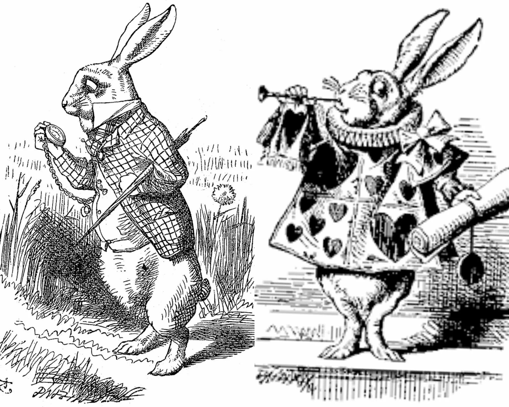 Бывший король победил кролика героя. Белый кролик персонажи Льюиса Кэрролла. Кролик Льюис Кэрролл. Кролик (персонаж Кэрролла). Кролик Алиса в стране чудес.