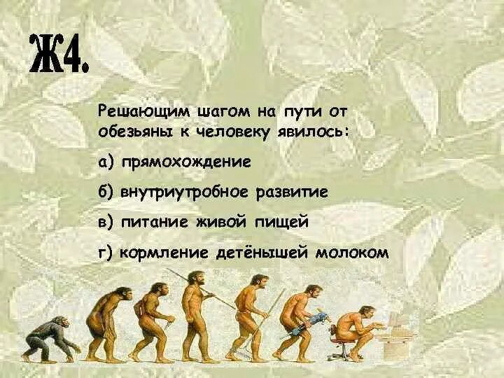 К предкам человека не относится. Путь эволюции от обезьяны к человеку. Решающим шагом на пути от обезьяны к человеку явилось. У предков человека прямохождение способствовало формированию. Относится ли человек к приматам.