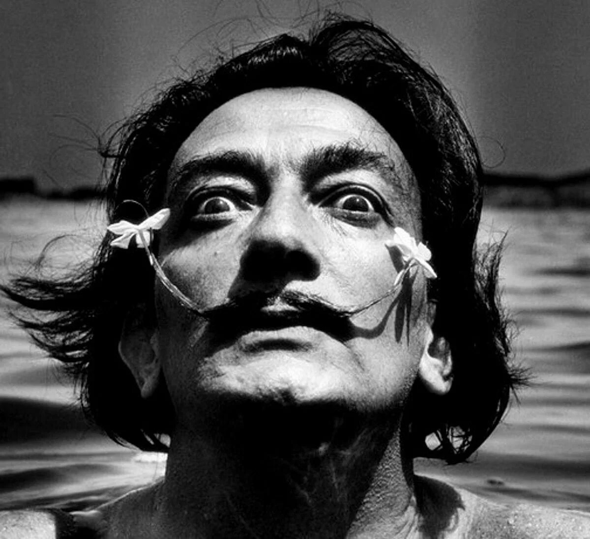 Salvador Dali. Сальвадор дали фотографии. Сальвадор дали в профиль. Фотографии сделанные Сальвадором дали. Дали бай