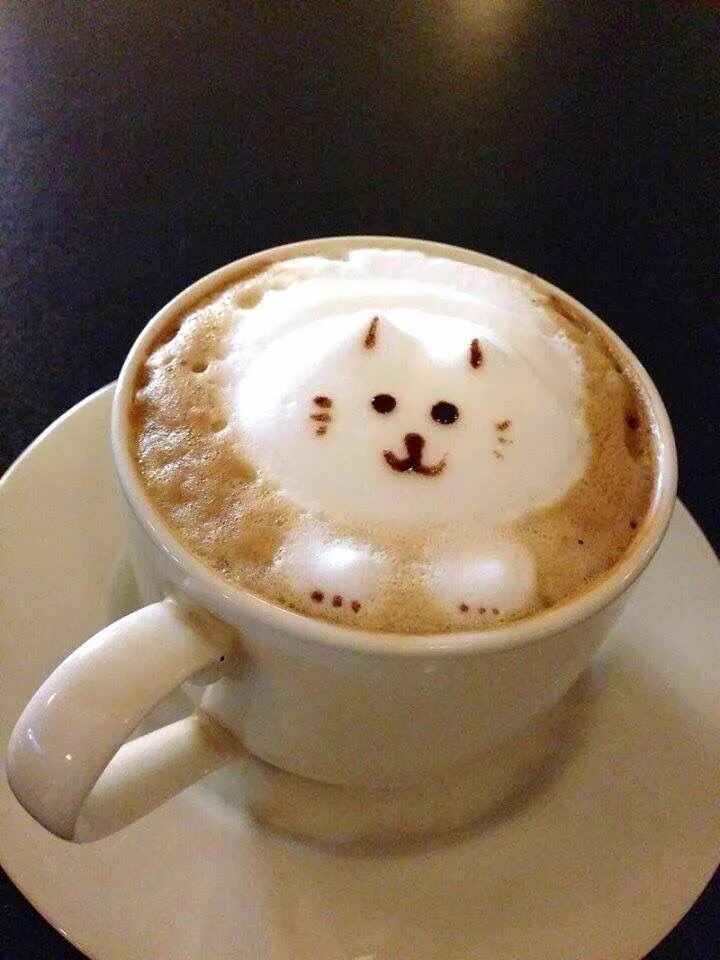 Кот и кофе. Котик с кофе. Доброе утро котики и кофе. Кофе арт. Кофе кис