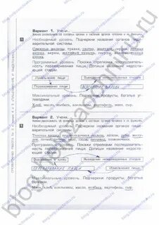Контрольная работа по татарскому языку