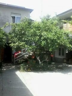 Гагра ул саят нова