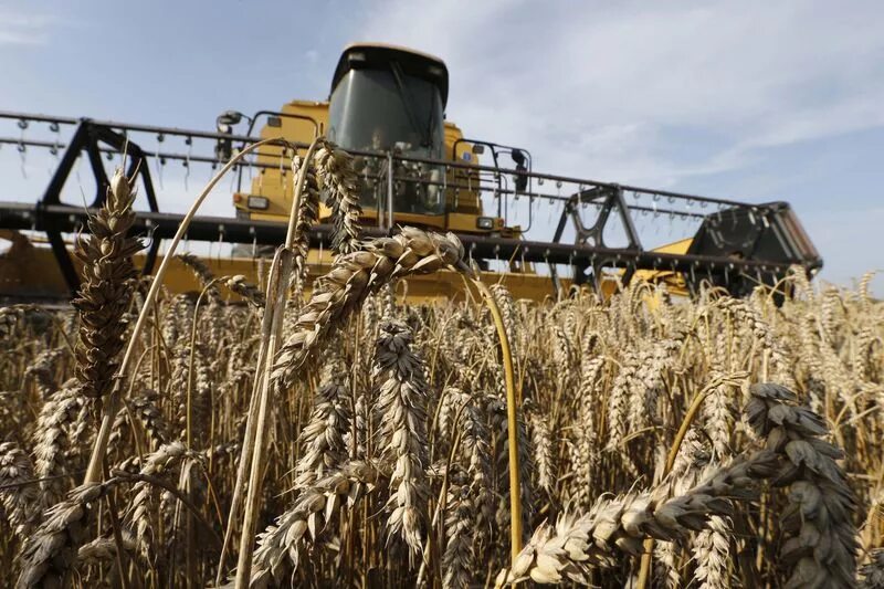 Уборка урожая. John deere 8000. Запчасти для гидравлики сеялки джон дир 1775nt. Сельское хозяйство на сегодняшний день. Сельское хозяйство на сегодняшний день.