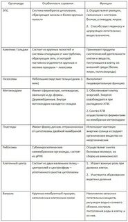 Биологическая роль органоидов