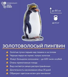 День пингвина презентация