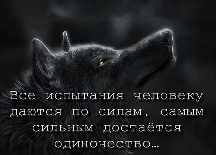 Всякие испытания