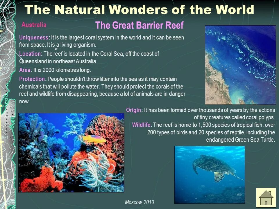 Coral system. Natural Wonders картинки для презентации. Natural Wonders of the World. Natural Coral System. Ancient Wonders Technical Wonders natural Wonders таблица.