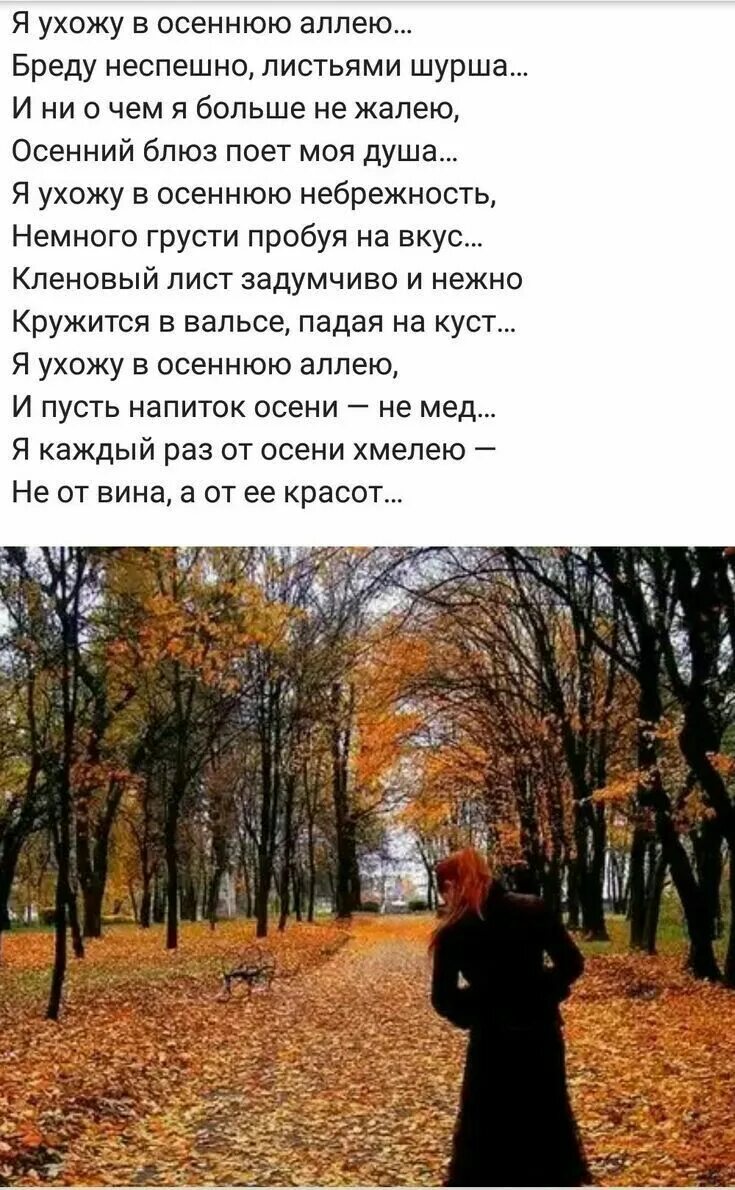 Стих осень ранняя окуджава. Осенняя аллея стихи. Аллея словарное слово. Стих про аллея. Стихотворение про аллею славы.