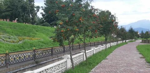 Зона владикавказ