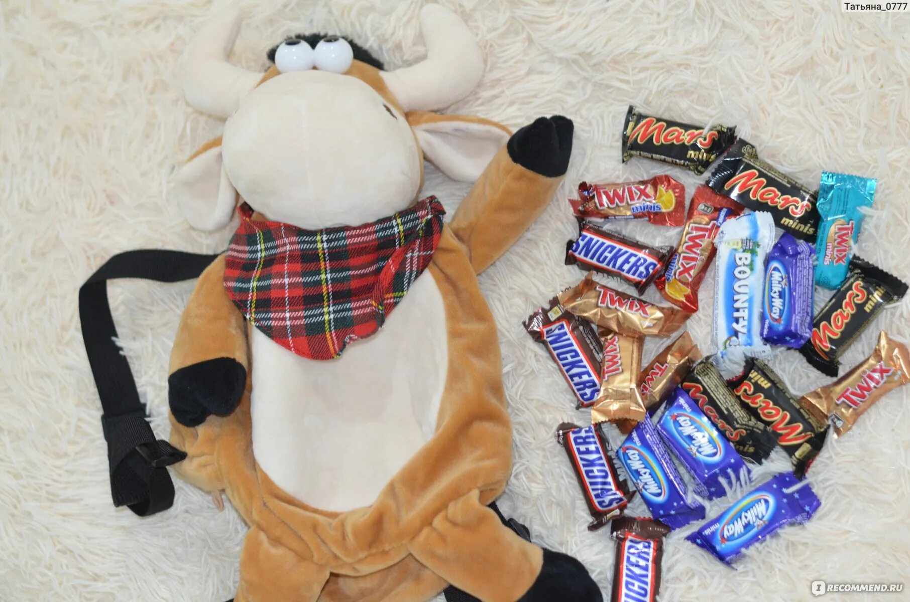 Игрушка с конфетами. 5. Букет из игрушек. Букет с игрушкой «мишка эмми». Плюшевый мишка с конфетами.