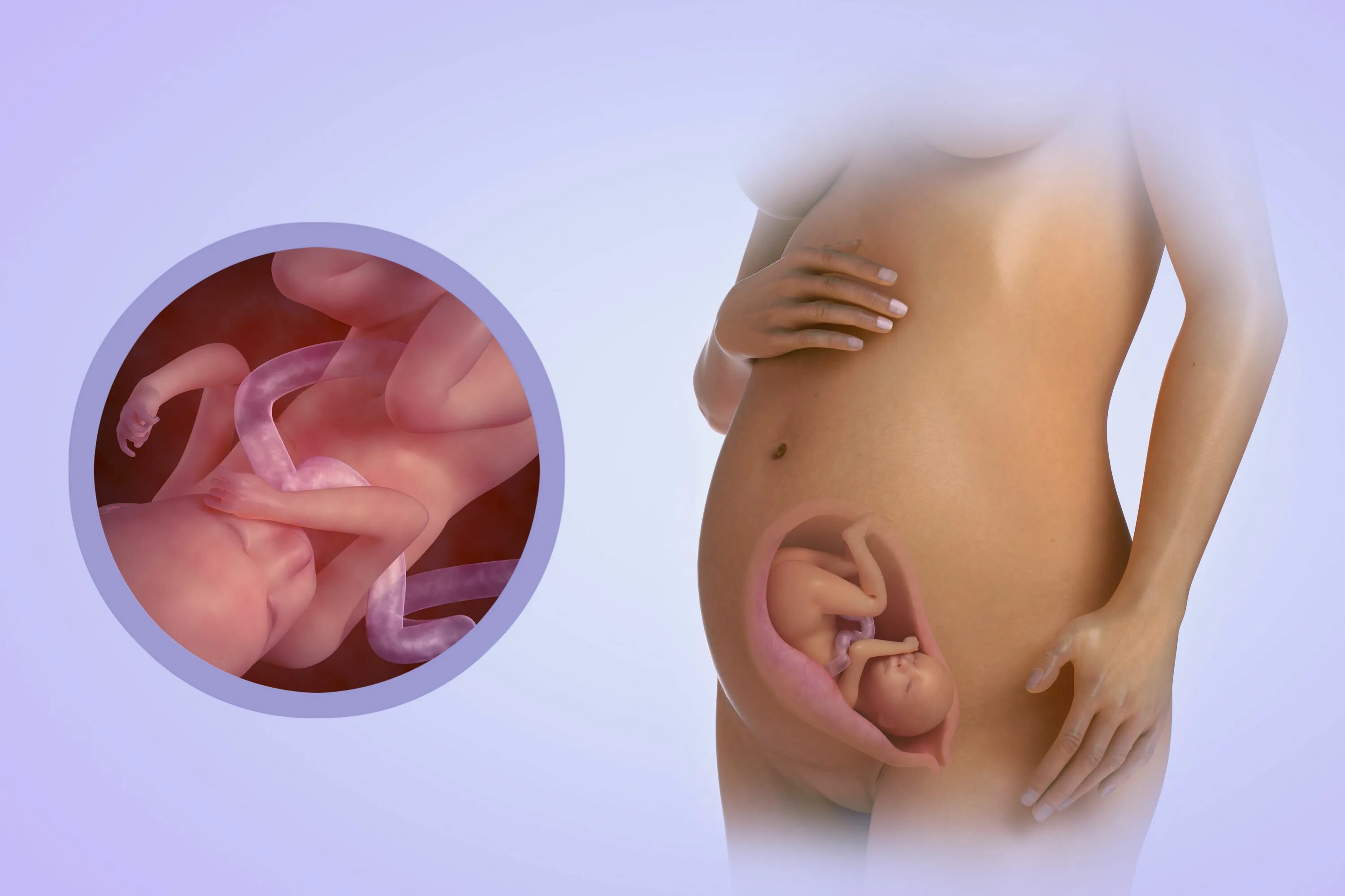 Как лежит малыш в животе. 31-32 Неделя беременности. 20 Недель беременности фото плода. Ребёнок на 32 неделе беременности в утробе. Ребёнок в 20 недель беременности в животе.