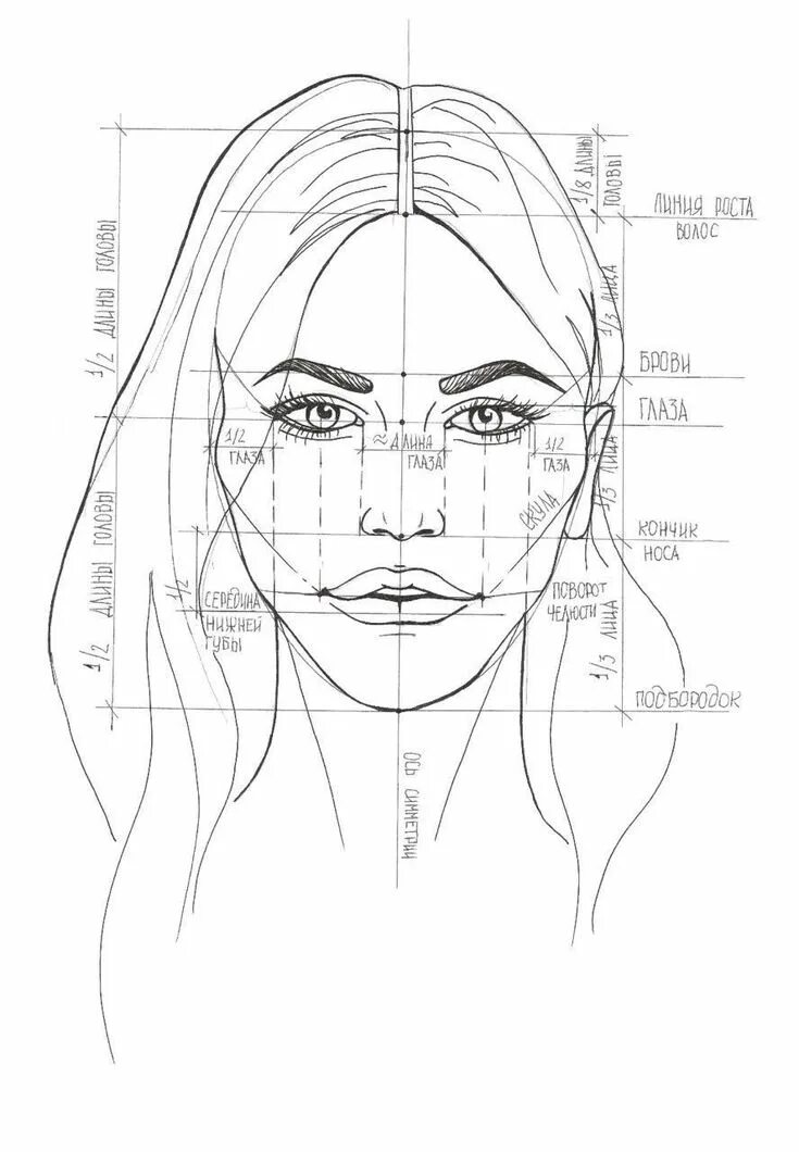 Лицо рисунок схема. Пропорции при рисовании лица человека для начинающих. Портрет пропорции лица поэтапно. Пропорции женского лица схема при рисовании портрета. Пропорции лица человека для рисования.