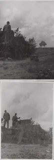 Лето 1941 отзывы