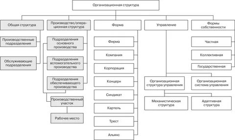 Формы организации хозяйственной жизни