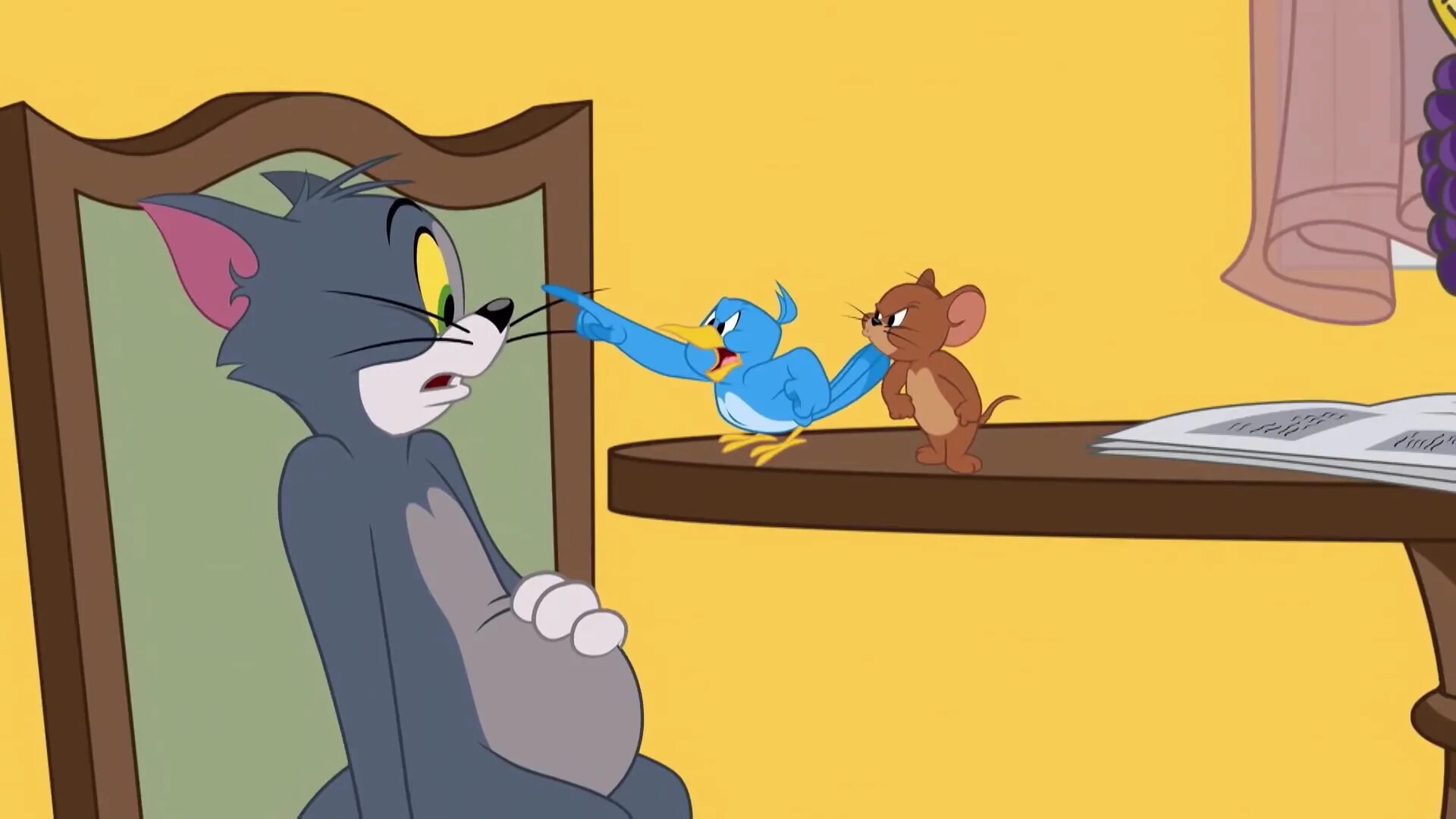 Tom jerry 2. Шоу Тома и Джерри 2022. Шоу Тома и Джерри 2014. Шоу Тома и Джерри 2014 том.