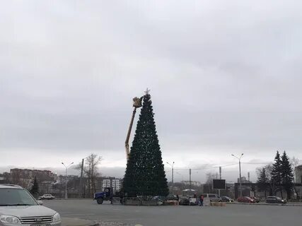 Ели петрозаводска