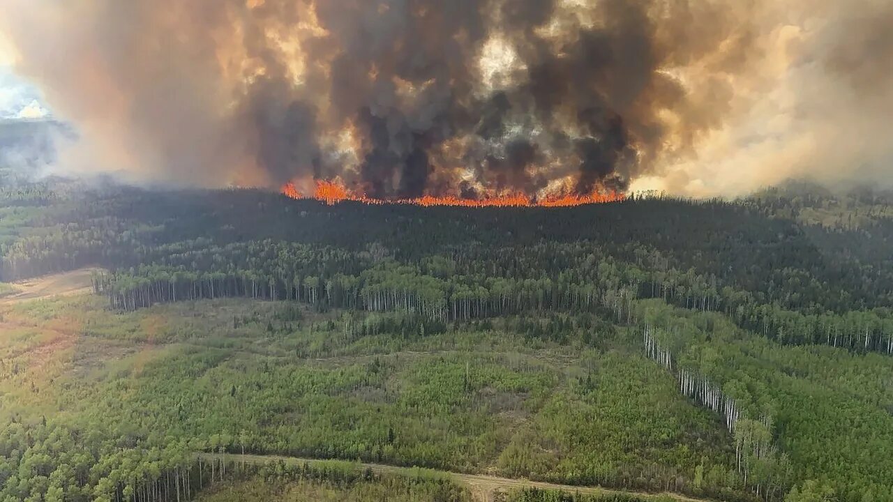 Где пожар живет. Пожары в Канаде 2023. Пожары лесов. Лемной повр. Лесной пожар фото.