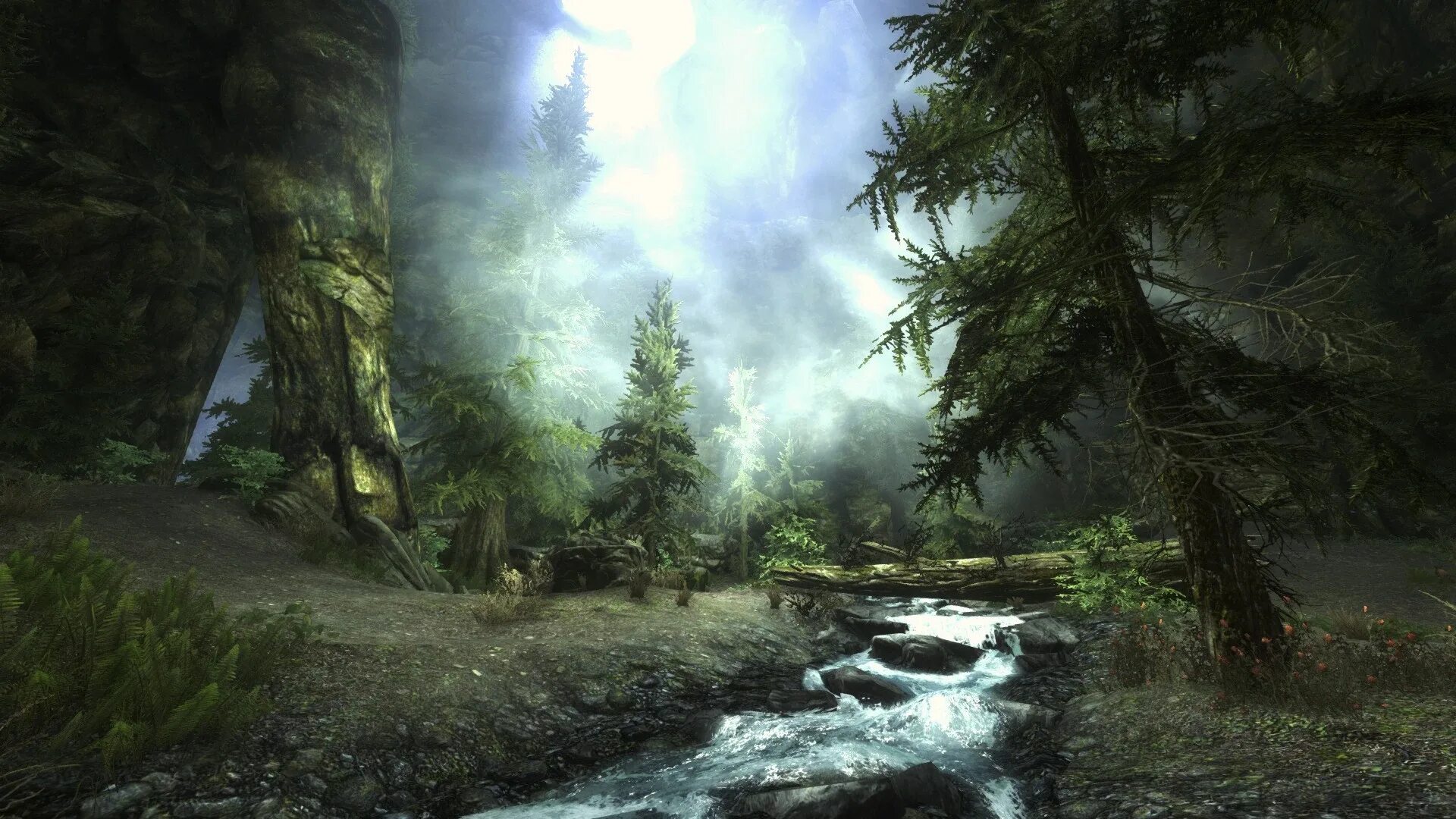 Skyrim se nature. Скайрим обои. Скайрим скриншоты горы. Элдер леса скай. Пейзаж скайрим рифтен лес.