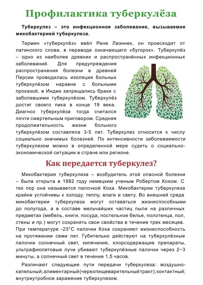 Информация о туберкулезе