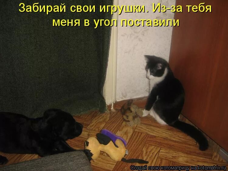 наказано угол поставил. наказано угол поставил. наказано угол поставил. парень в углу. и поставил в уголок чтоб.
