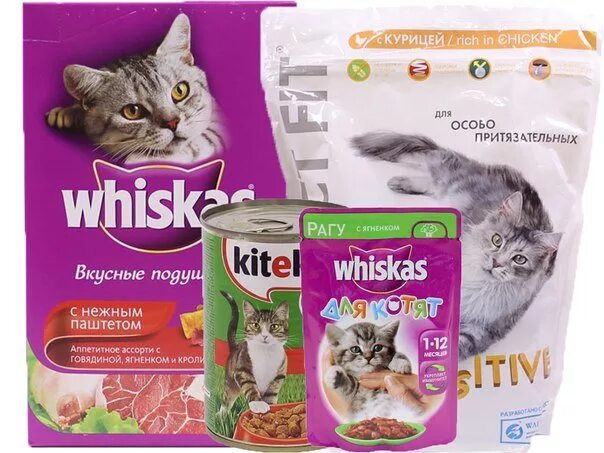 Смесь из разных кормов для животных. Корма для животных. корма для кошек и собак. разные корма для кошек. корм для животных кошек собак.