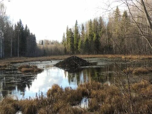 Красивый дом в любани. Любань трубников. Любань трубников. Любань трубников. Дом в любани.