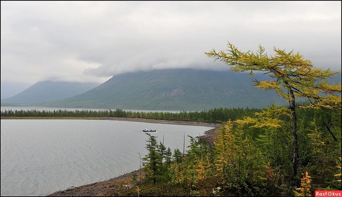 Озеро лама плато путорана. Озеро на полуострове таймыр. Плато путорана. Таймыр плато путорана. Полуостров таймыр плато путорана.