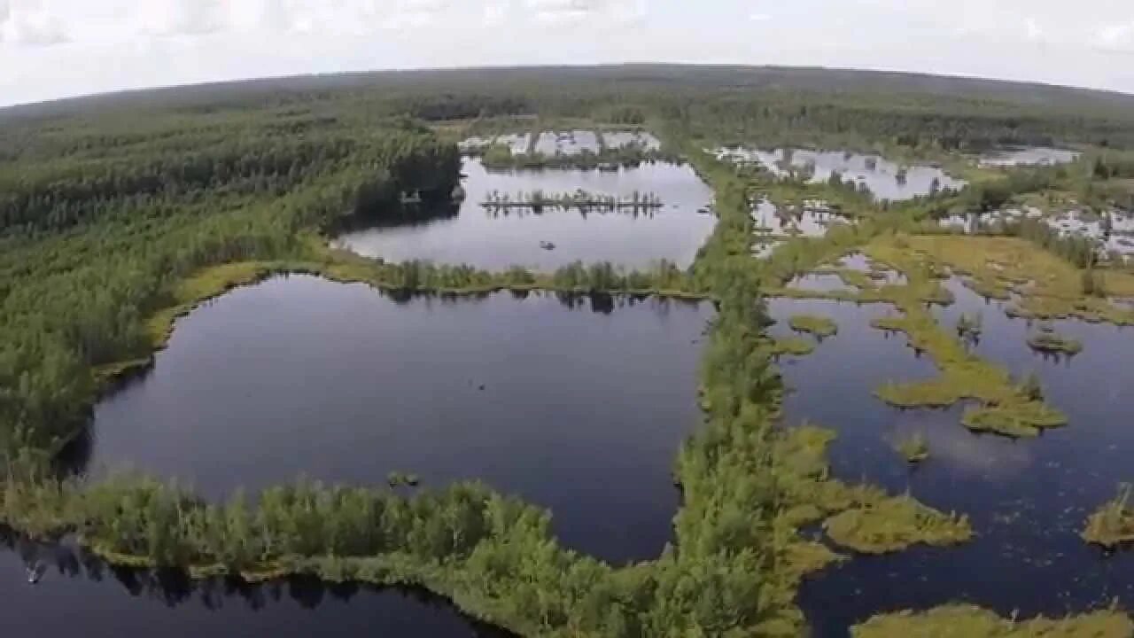 Красные острова ивановская. Красный остров ивановская область чернцы. красный остров (озеро, ивановская область). красное озеро ивановская область чернцы. коровье озеро ивановская область.