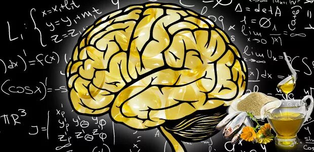 Влияние пищи на мозг. Мозг это жир. Лептиновая недостаточность. Воздействие еды на мозг. Омега 3 для мозга.