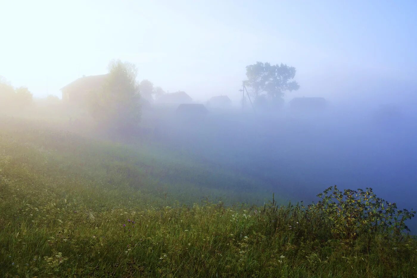 Дымка горизонта. Туман дымка. Просвечивающий туман. Туманное утро в деревне. Утренняя дымка.