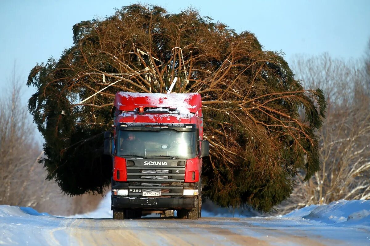 Volvo fh16 750 лесовоз. Грузовик для перевозки машин. Фура везет. Фура везет. Грузовик.