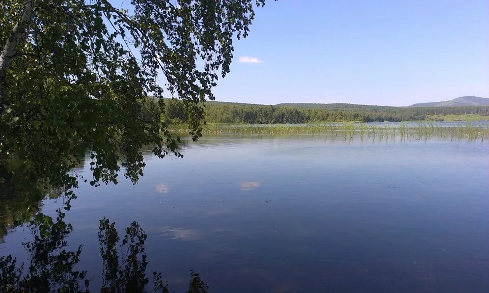 Погода линево озеро хилокский. Серебряный берег озеро Линево. Озеро Линево Омск. Линево озеро Курская область. Серебряный берег Муромцево Линево.