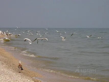 Азовское море ростовская