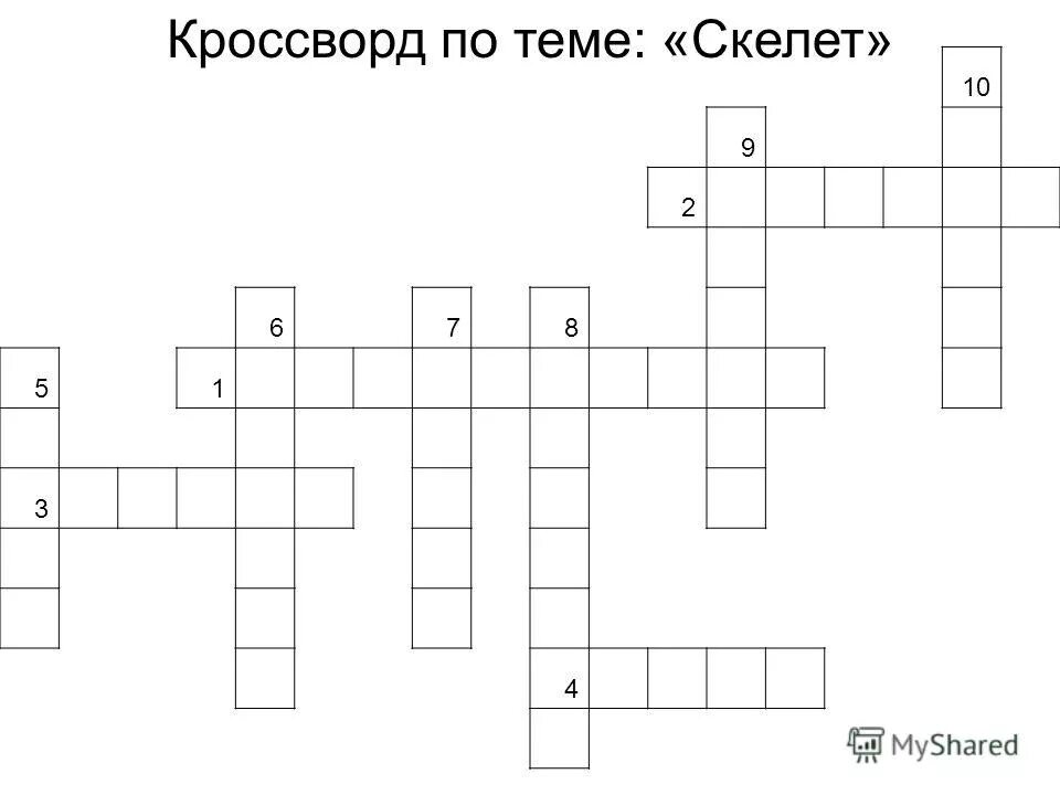 скелет - опора организма кроссворд. кроссворд по скелету человека. кроссворд на тему скелет человека. кроссворд кости скелета. кроссворд кости скелета.