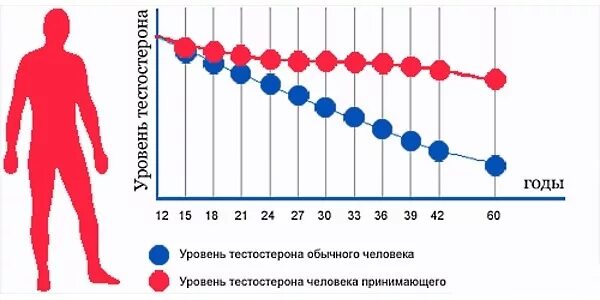 Пик активности женщины. Уровень тестостерона. Тестостерон с возрастом у мужчин. Пик выработки тестостерона в организме мужчин. График выработки тестостерона у мужчин.