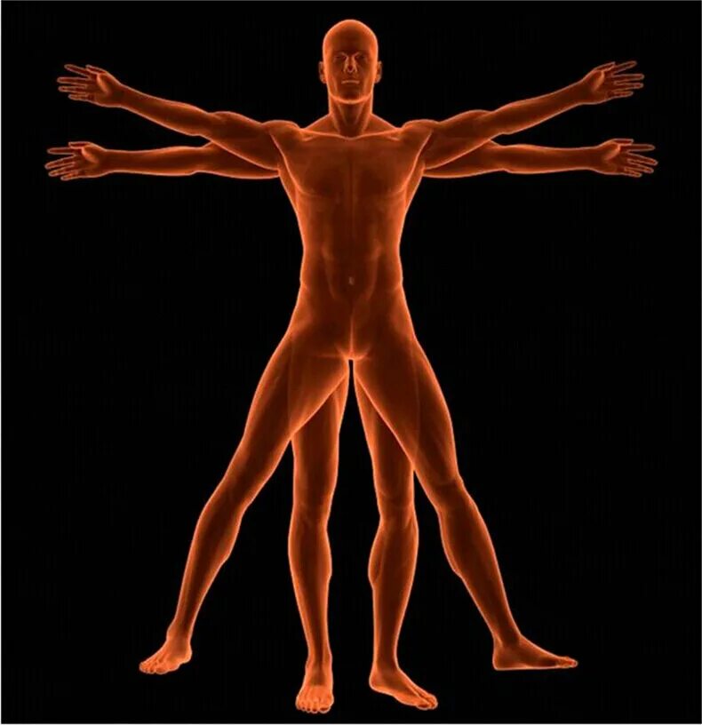 Тело управляет человеком. Тело человека. Изображение человеческого тела. Тело человека картинка.