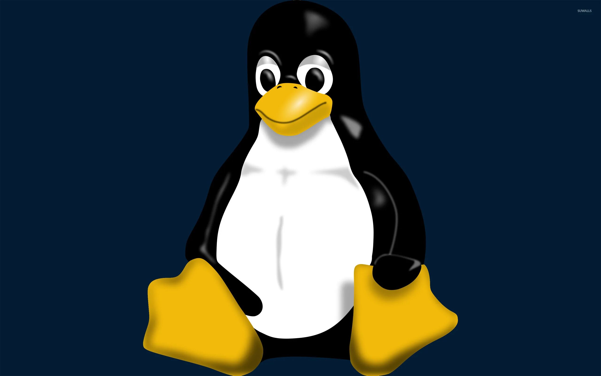 Изображения с расширением bmp. Рисунки с расширением bmp. Файлы с расширением bmp. Пингвин линукс.